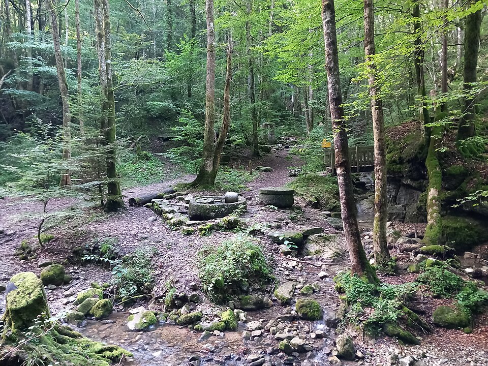 Le site du moulin en sous-bois, les meules au bord du chemin